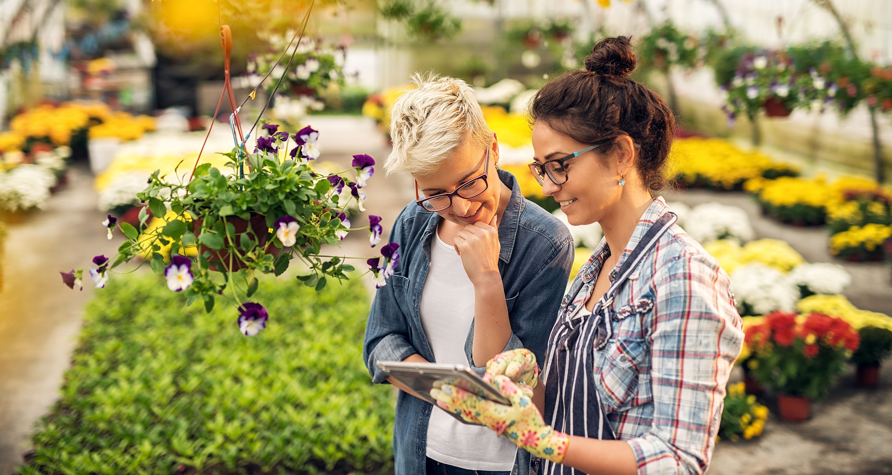 Zwei Frauen in ihrer Gärtnerei aufs Tablet schauend