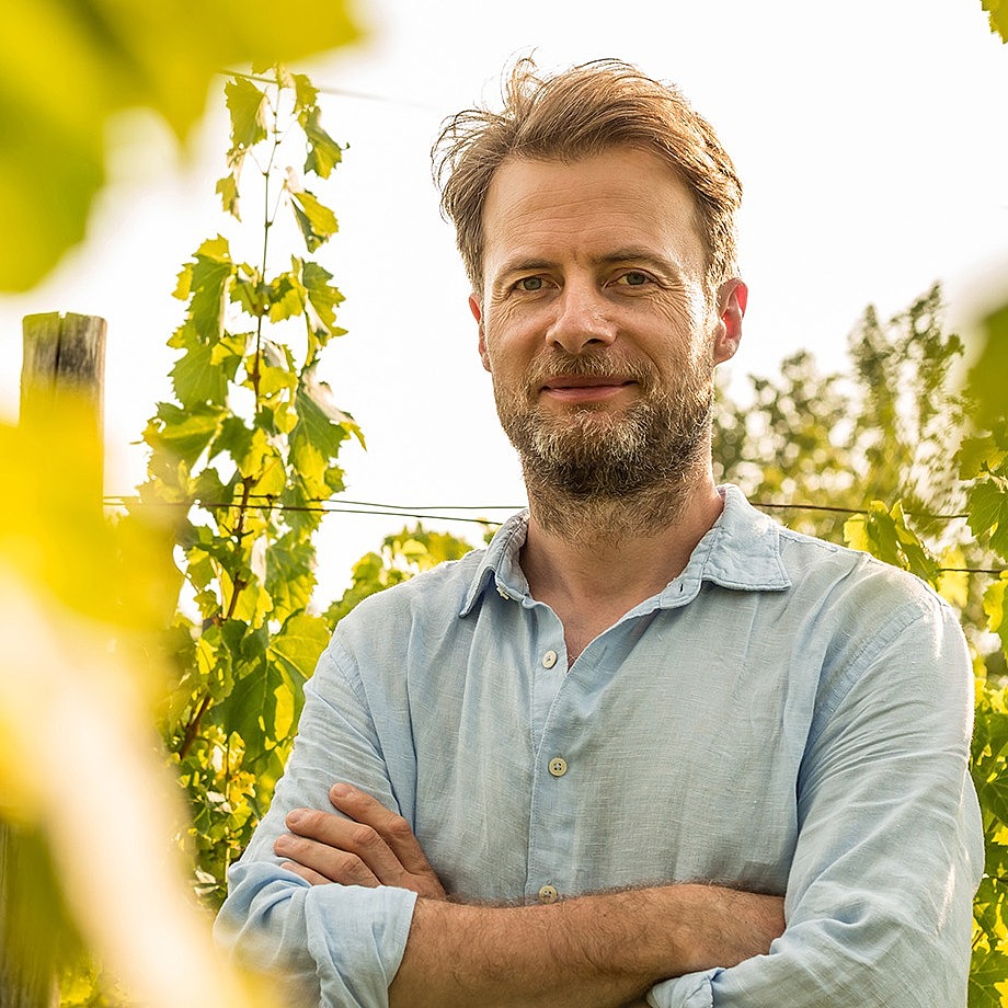 Weinbauer in seinem Weinberg