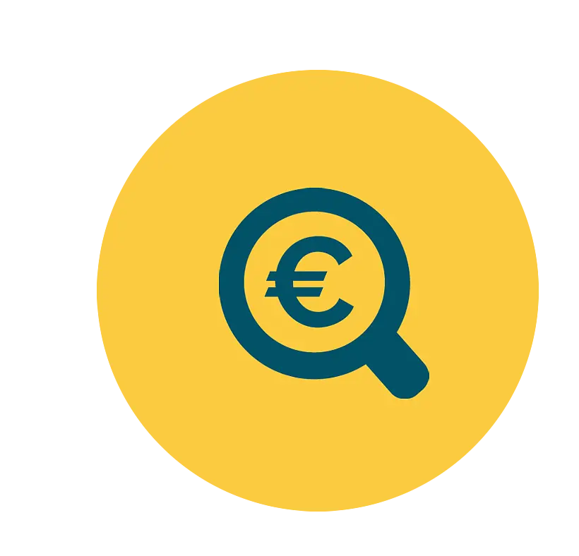 Icon Lupe mit Eurozeichen