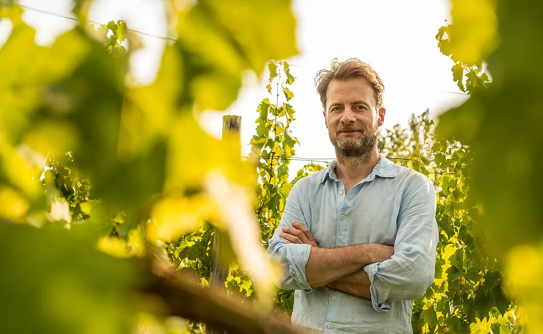 Weinbauer in seinem Weinberg