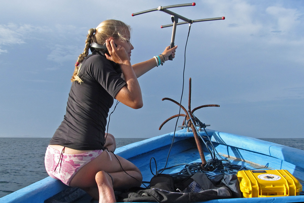 Boot-Studie Radiosender