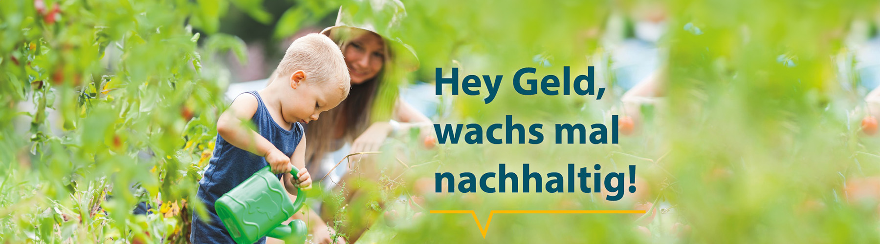 Nachhaltige Geldanlagen