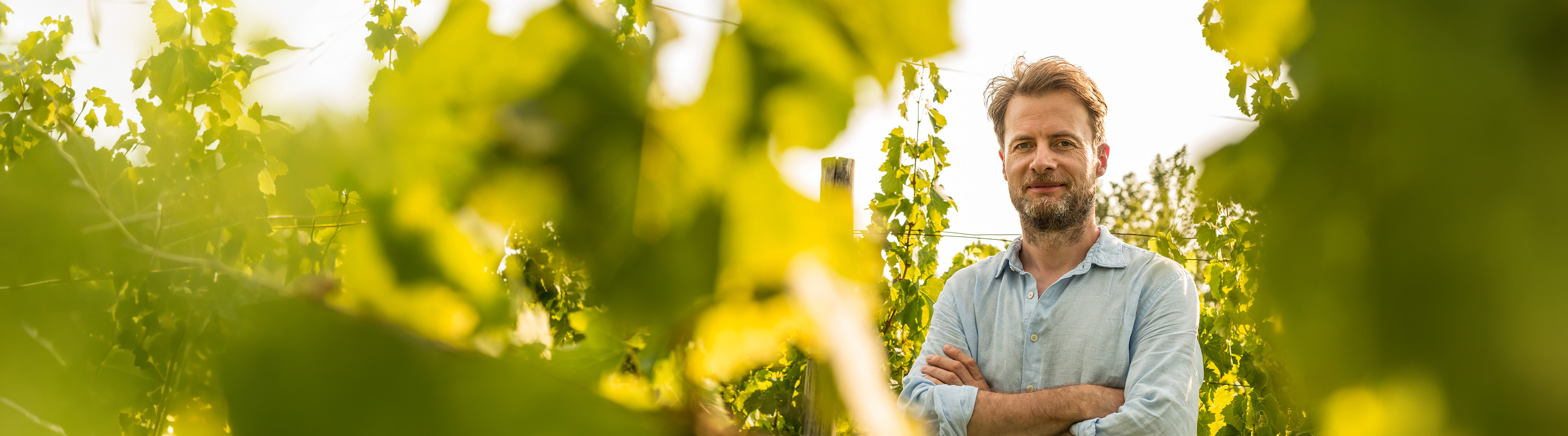 Weinbauer in seinem Weinberg