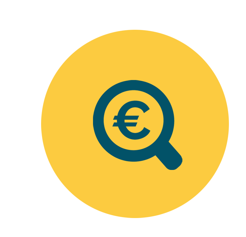 Icon Lupe mit Eurozeichen