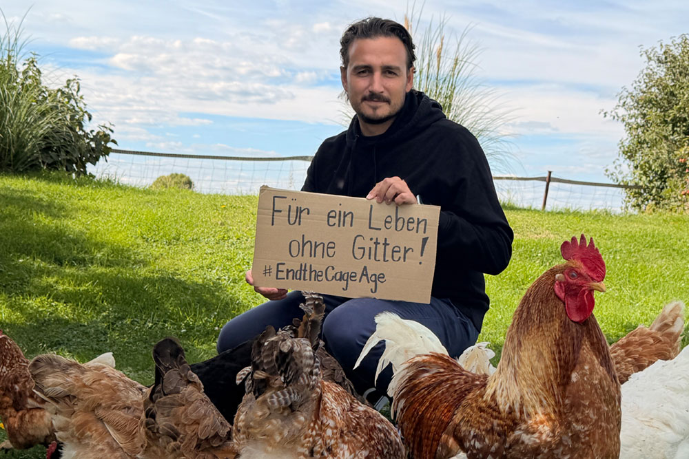 Glückliche Hühner im Freiland: Für ein Leben ohne Gitter
